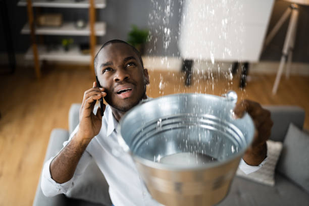Best Local water damage restoration  in Charlevoix, MI