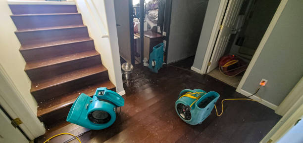 Best Water damage restoration near me  in Charlevoix, MI