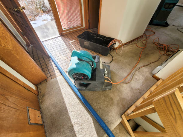 Best Basement water damage restoration  in Charlevoix, MI