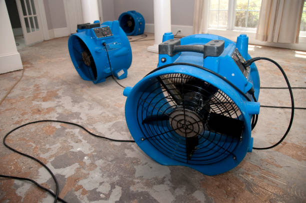 Best Basement water damage restoration  in Charlevoix, MI