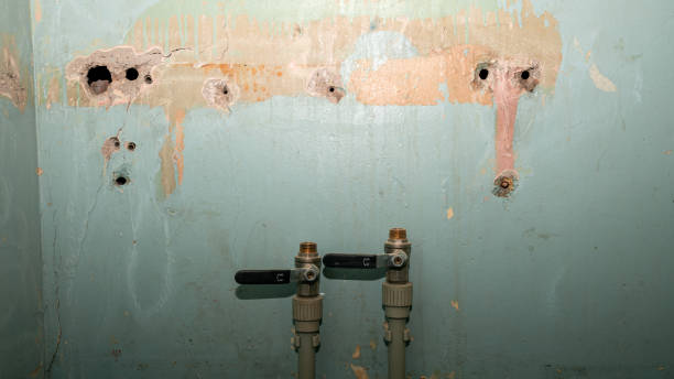 Best 24-hour water damage restoration  in Charlevoix, MI