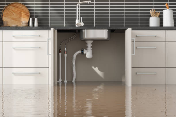Best Water damage restoration company  in Charlevoix, MI