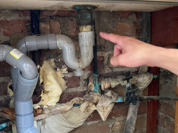 Best Water damage restoration near me  in Charlevoix, MI