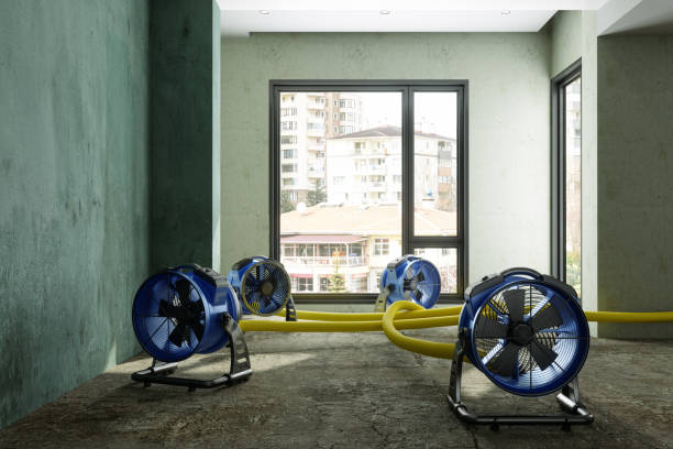 24/7 water damage repair in MI